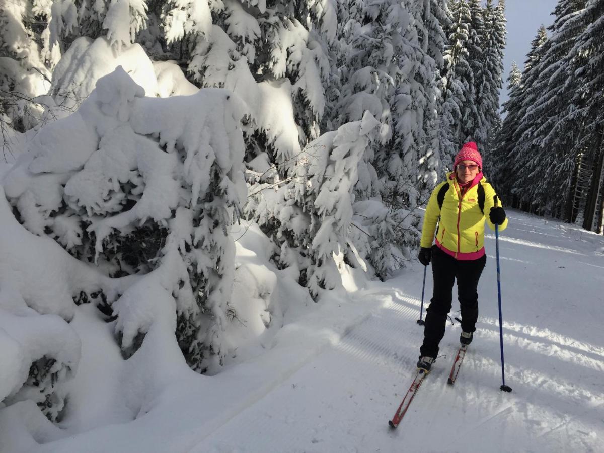 Rekreacni Domek Kobylnice Lipno Lipno nad Vltavou Esterno foto