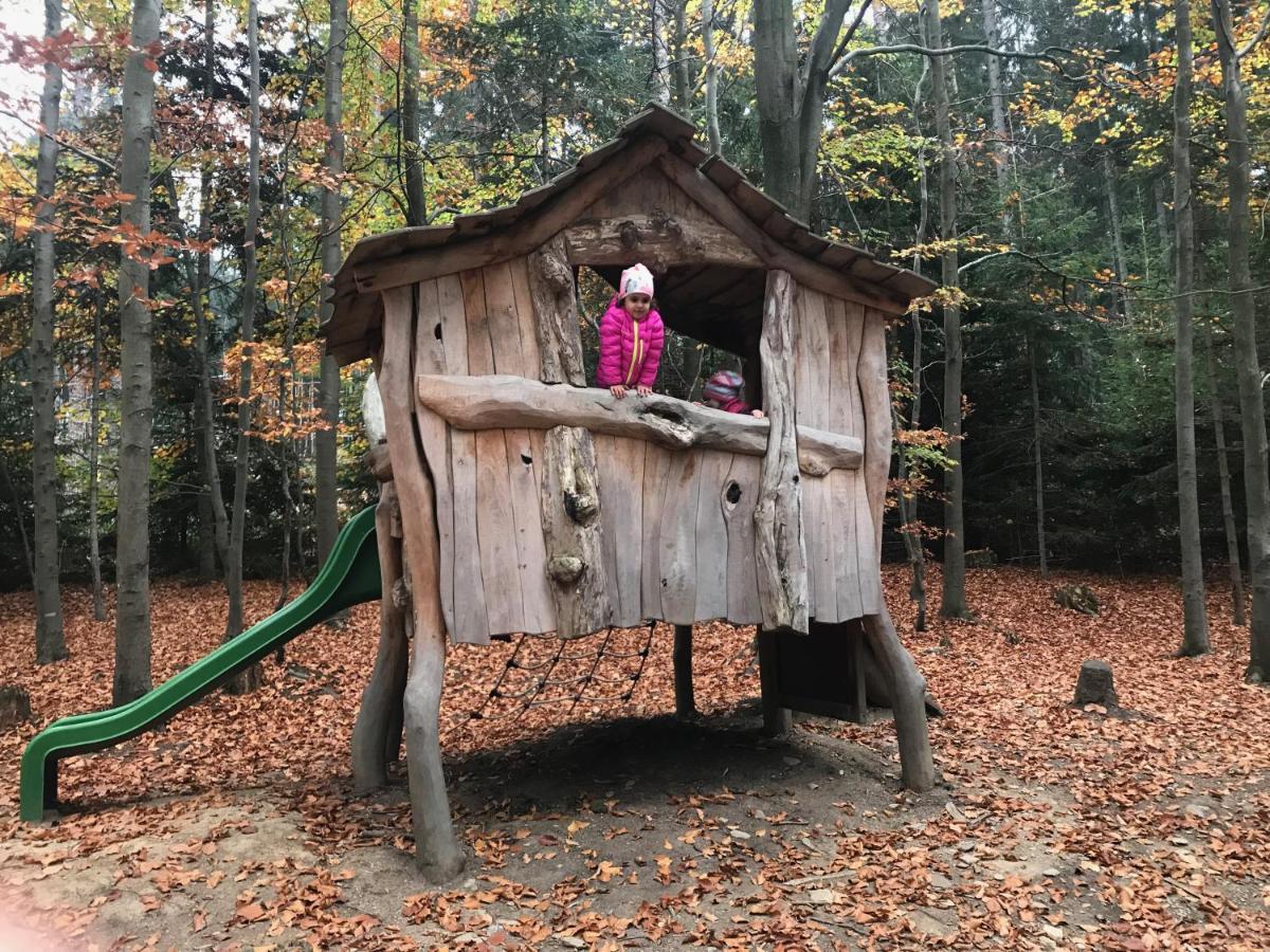 Rekreacni Domek Kobylnice Lipno Lipno nad Vltavou Esterno foto